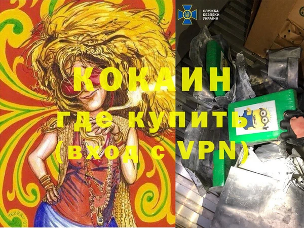 ECSTASY Алзамай